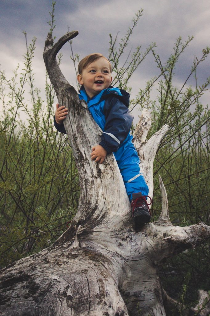 kids, young, people, child, children, childhood, little, happy, cute, portrait, boy, happiness, person, outdoor, small, wood, driftwood, kraft, play, natural, wildlife, kinder, kinder, kinder, kinder, kinder, kinder