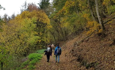 Wir suchen geeignete Plätze in der Natur auf